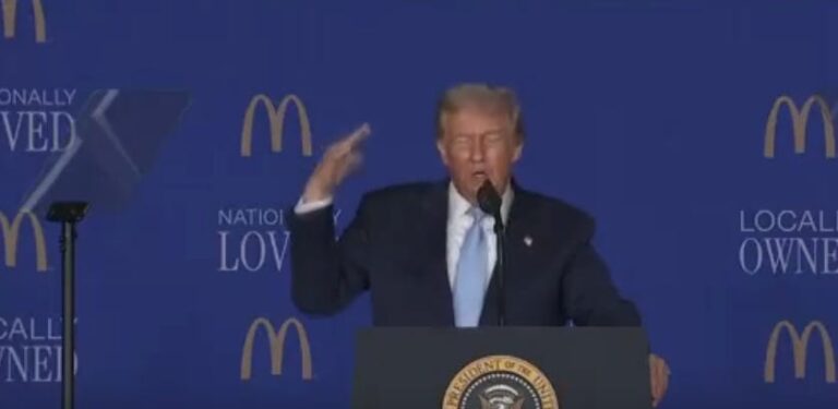 Trump tried to give an economic speech at a conference at McDonald’s and it was an epic disaster