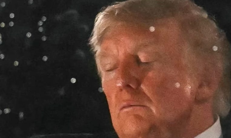 Fading Trump caught sleeping during 4th of July fireworks