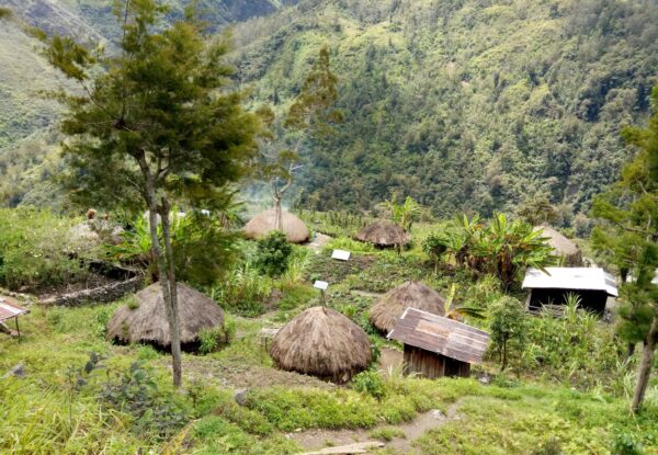 Indonesia recovers body of US pilot killed by Papuan separatists – The Diplomat
